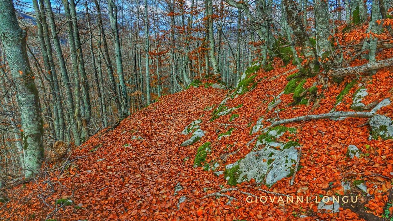 La Terrazza Sul Lago Turano Vermiglio Zewnętrze zdjęcie